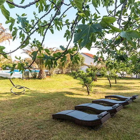 Ferienhaus Scenic In Near Sea Bibinje